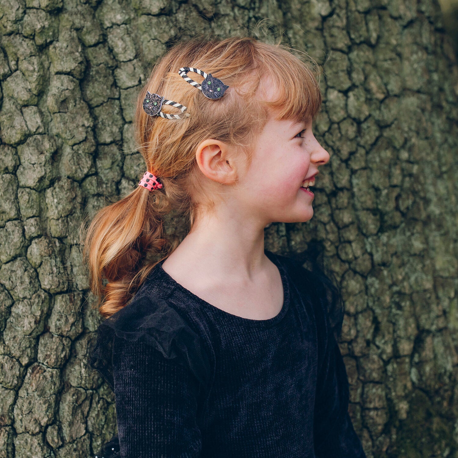 Stripy Cat Clips