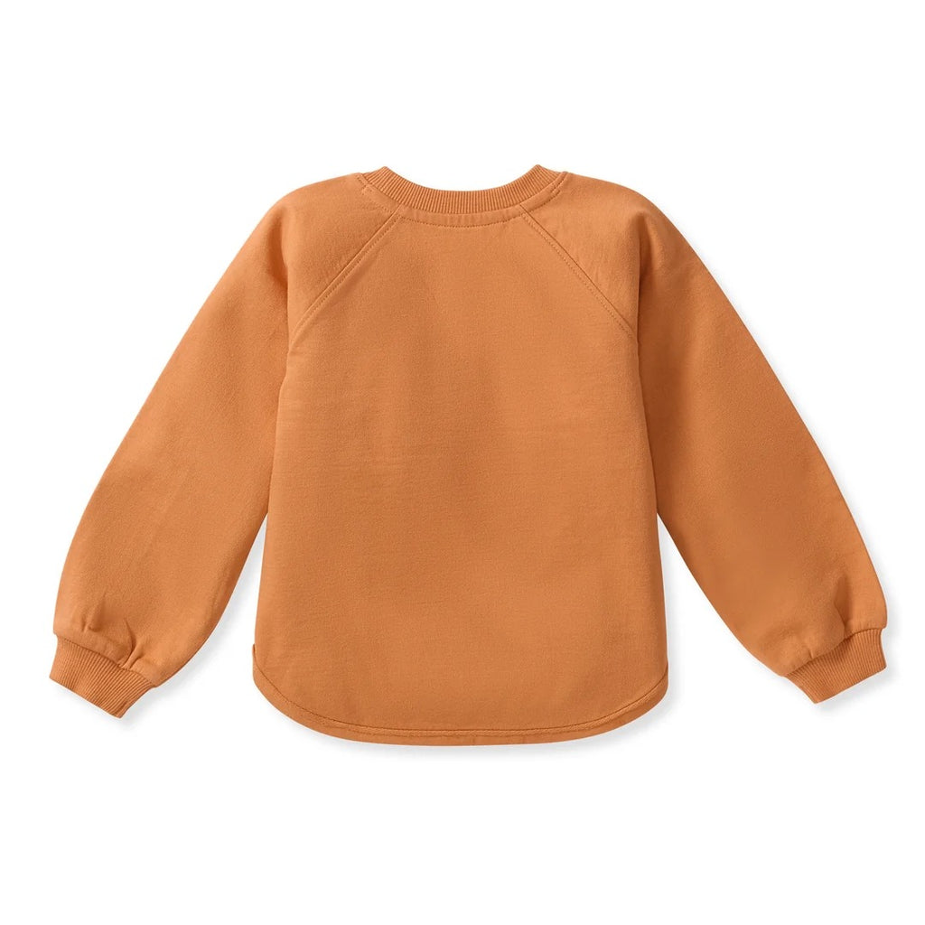 A long-sleeve crewneck sweatshirt in a warm burnt orange color, shown from the back on a clean white background.